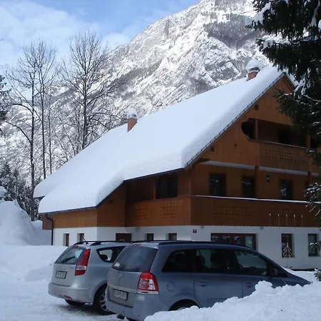 Apartmaji In Sobe Bohinjsko Jezero