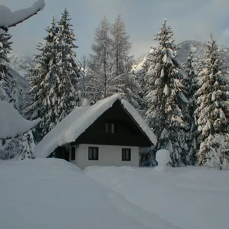 Hotel Apartmaji In Sobe Bohinjsko Jezero 4*