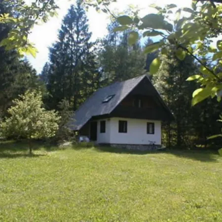 Apartmaji In Sobe Bohinjsko Jezero Hotel